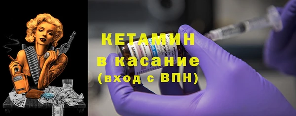 стаф Алзамай