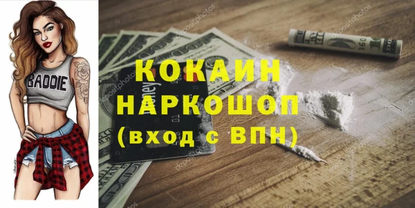 стаф Алзамай