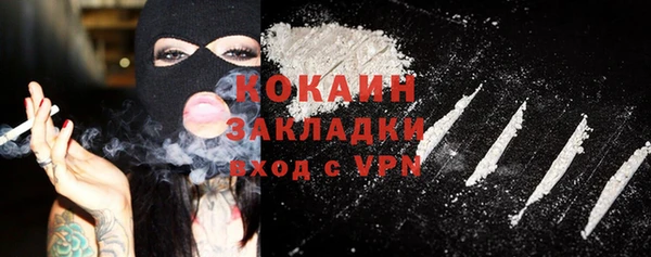 стаф Алзамай