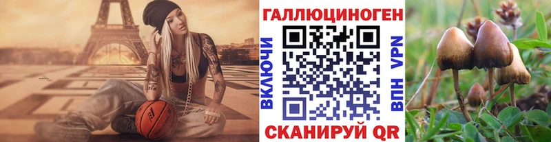 Галлюциногенные грибы Psilocybe Хвалынск